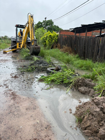 Tareas de Relevamiento y Limpieza tras las Precipitaciones